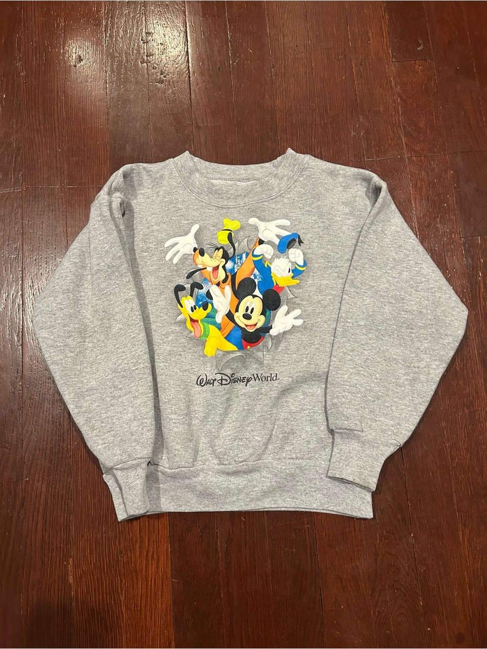 Hanes Gray Sweatshirt with Colorful Cartoon Character Print